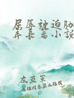 屈辱被迫胁迫玩弄长篇小说