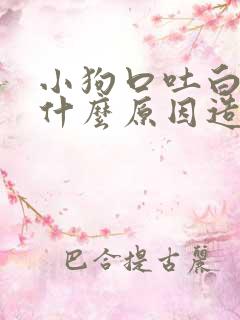 小狗口吐白沫是什么原因造成的