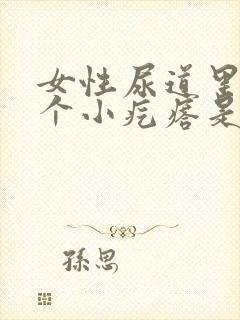 女性尿道里面有个小疙瘩是啥情况