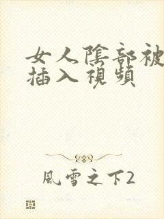 女人阴部被男人插入视频