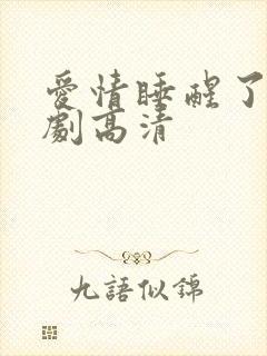 爱情睡醒了电视剧高清