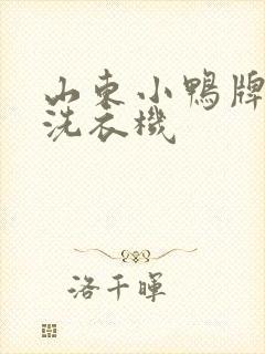 山东小鸭牌小型洗衣机