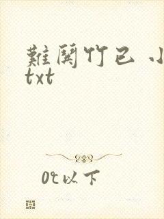 难哄竹已 小说txt