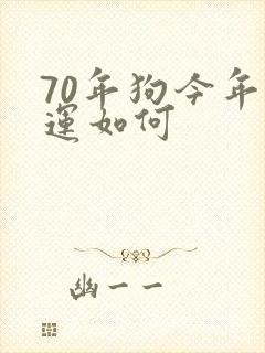 70年狗今年财运如何