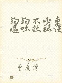 狗狗不吃东西还呕吐拉稀没精神怎么办