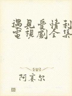 遇见爱情利先生电视剧全集