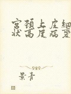 宫颈上皮细胞鳞状高度病变