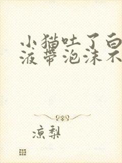 小猫吐了白色粘液带泡沫不吃东西