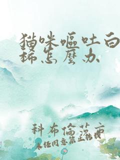 猫咪呕吐白沫拉稀怎么办