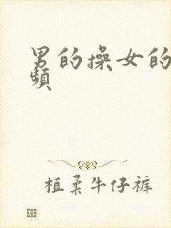 男的操女的小视频