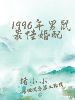 1996年男鼠最佳婚配