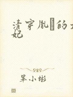 清穿胤礽的太子妃