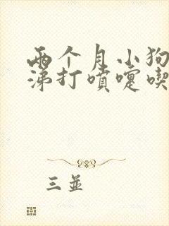 两个月小狗流鼻涕打喷嚏吃什么药