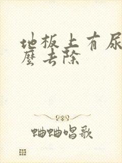 地板上有尿味怎么去除