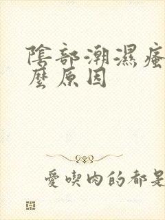 阴部潮湿瘙痒什么原因