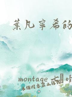 叶凡宁希的小说