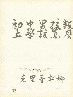 初中男孩叛逆不上学该怎么办