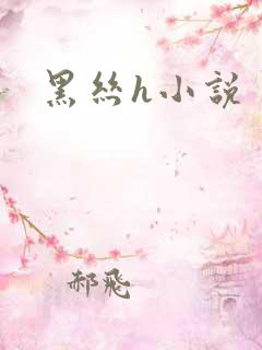 黑丝h小说