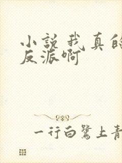 小说 我真的是反派啊