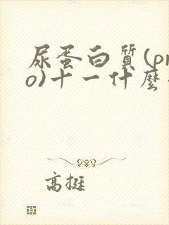 尿蛋白质(pro)十一什么意思