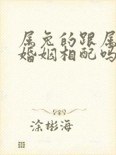 属兔的跟属狗的婚姻相配吗