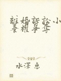 离婚诉讼小孩抚养权争夺