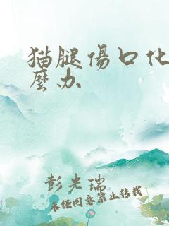 猫腿伤口化脓怎么办