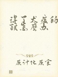 得了犬瘟的狗狗该怎么办