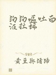 狗狗呕吐白色黏液拉稀