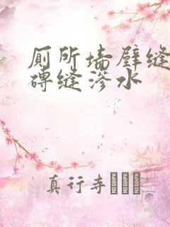 厕所墙壁缝隙瓷砖缝渗水