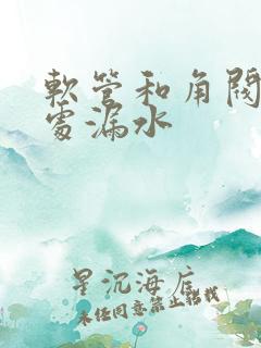 软管和角阀连接处漏水