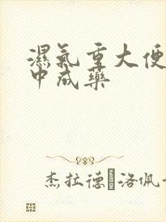 湿气重大便粘腻中成药