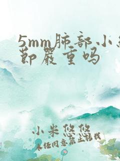 5mm肺部小结节严重吗