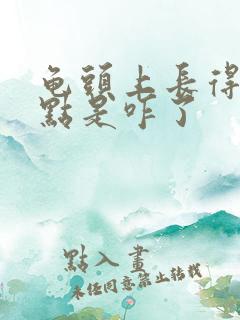 龟头上长得白点点是咋了