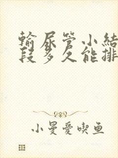 输尿管小结石下段多久能排出来