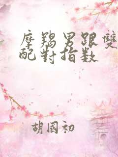 摩羯男跟双子女配对指数