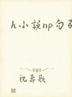 h小说np勾引