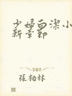 少妇白洁小说最新章节