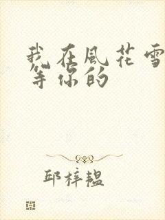 我在风花雪月里等你的