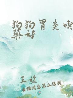 狗狗胃炎吃什么药好