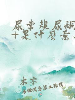 尿常规尿酮体1+是什么意思