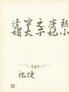 清穿之康熙的娇媚太子妃小说