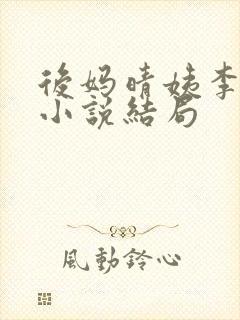 后妈晴姨李秀秀小说结局