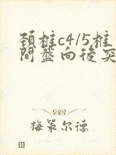 颈椎c4/5椎间盘向后突出,硬膜囊受压