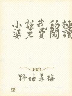 小说我的极品老婆免费阅读全文