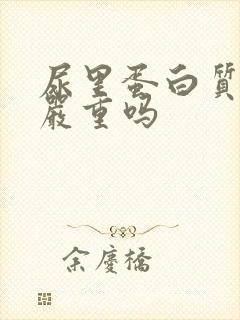 尿里蛋白质2+严重吗