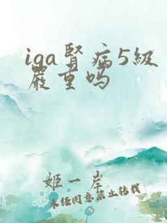 iga肾病5级严重吗