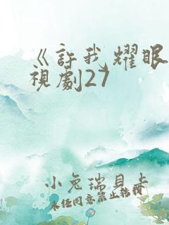 《许我耀眼》电视剧27