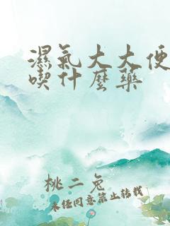 湿气大大便粘腻吃什么药