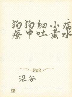 狗狗细小病毒治疗中吐黄水是怎么了